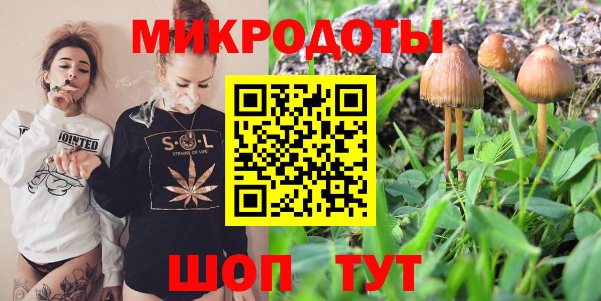 Красногорск  Галлюциногенные грибы Psilocybe  Вход с VPN 