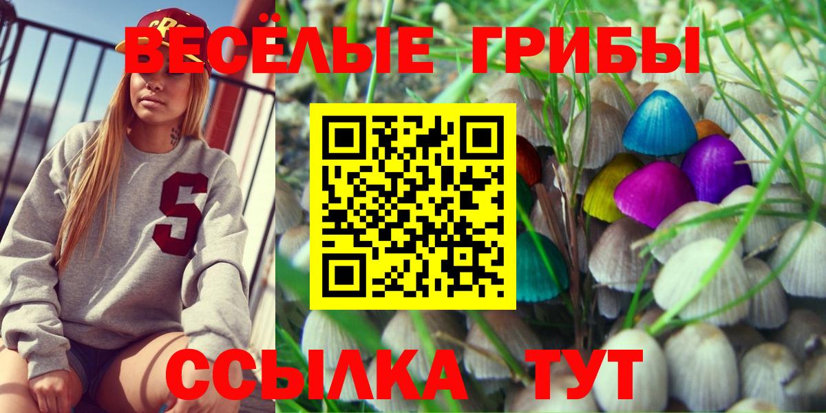Галлюциногенные грибы ЛСД Красногорск
